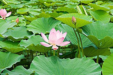 全场低至2折！PLAYISM发行商促销2025现已在Steam和Nintendo e-shop上开启